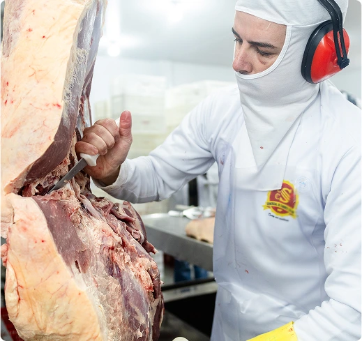 comercial de carnes silva