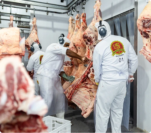 comercial de carnes silva