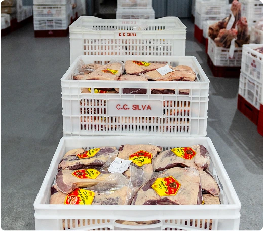 comercial de carnes silva