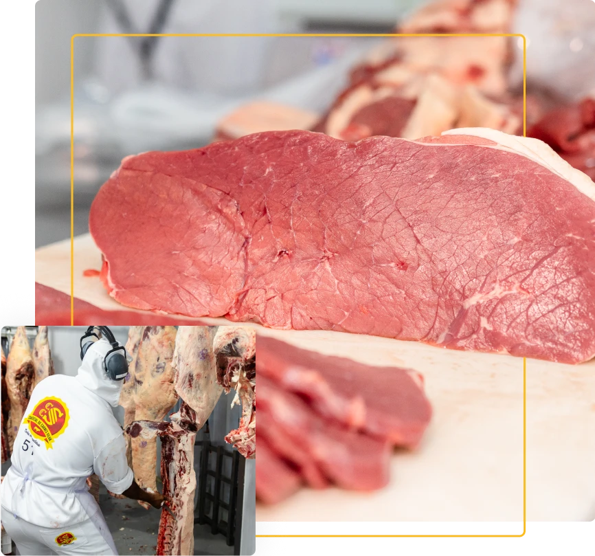 comercial de carnes silva