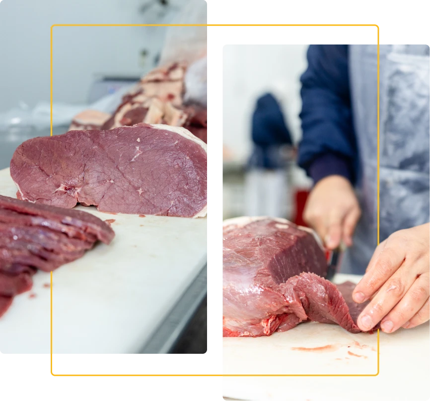 comercial de carnes silva