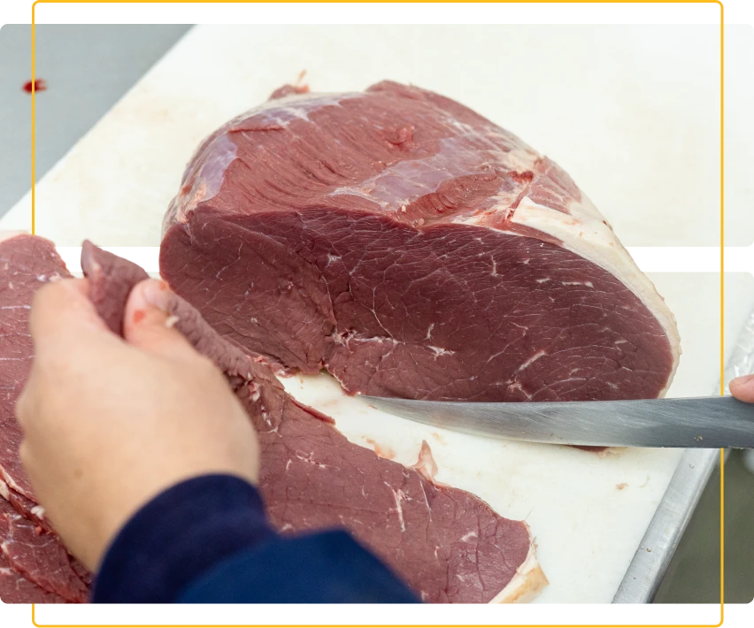 comercial de carnes silva