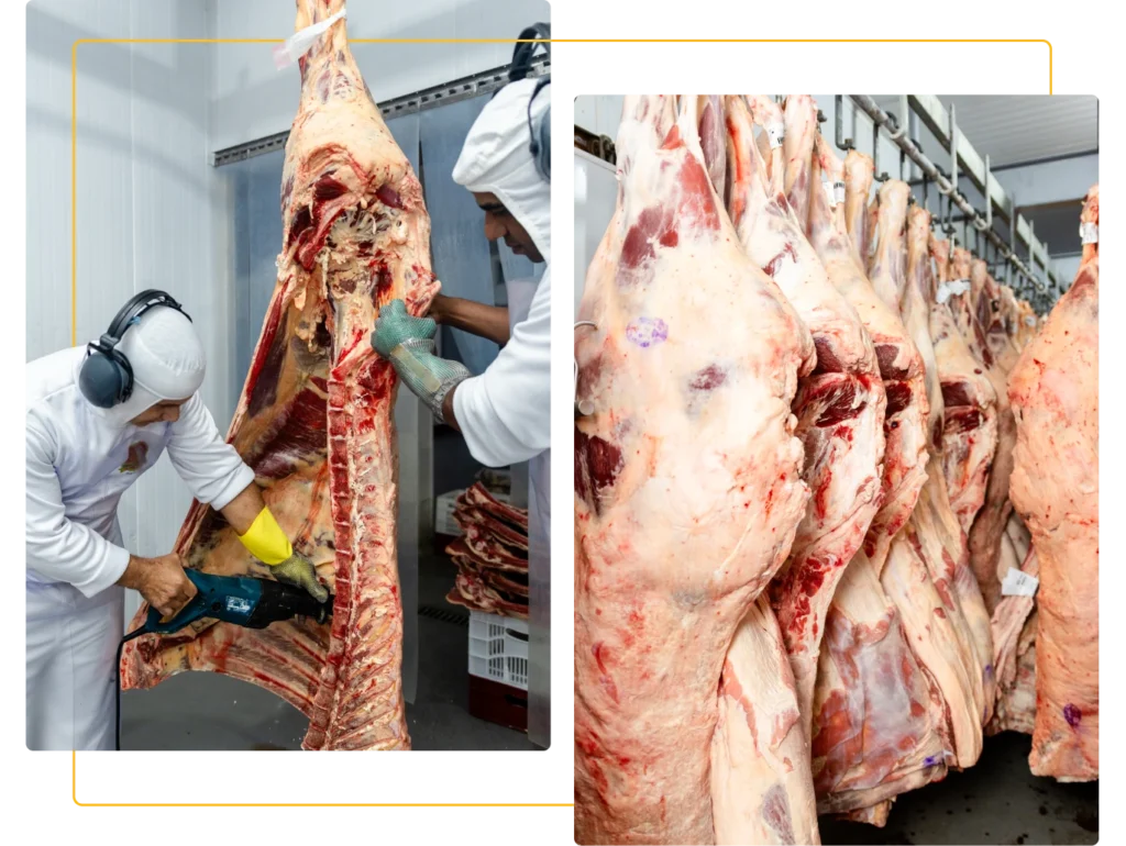 comercial de carnes silva