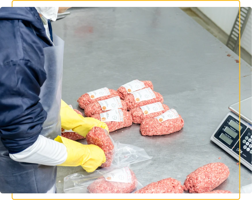 comercial de carnes silva