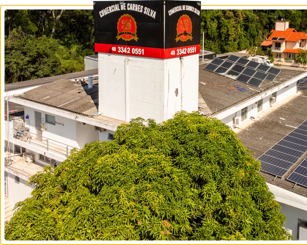 comercial de carnes silva