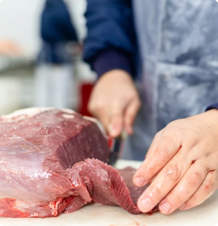 comercial de carnes silva