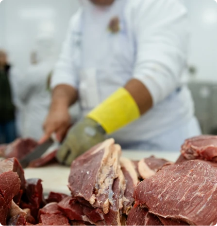 comercial de carnes silva