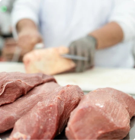 comercial de carnes silva