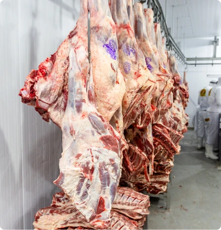 comercial de carnes silva