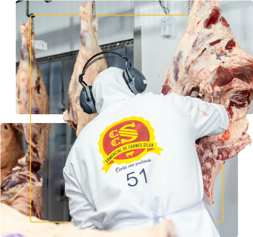 comercial de carnes silva